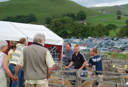 Malham Show, Blue Faced Leicester Sheep Pens, photo Chris Wildman